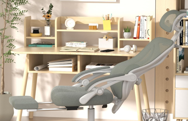 Ergonomic Office Chair with Footrest - Adjustable Lumbar Support & Headrest, 90-160° Reclining Mesh Back Computer Chair - Home Office/Gaming, 350lbs...
